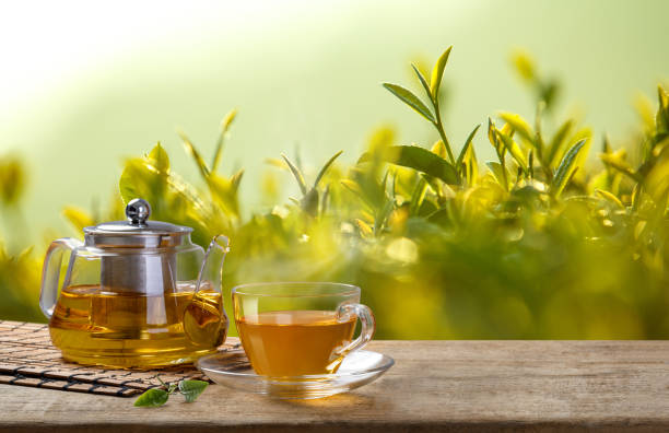 thé vert cardio et graisse