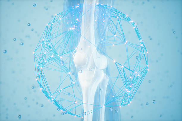 Knee Bone Treatment Concept with Digital Network and Joint Anatomy