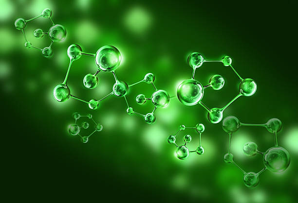 Molecule de cathechine