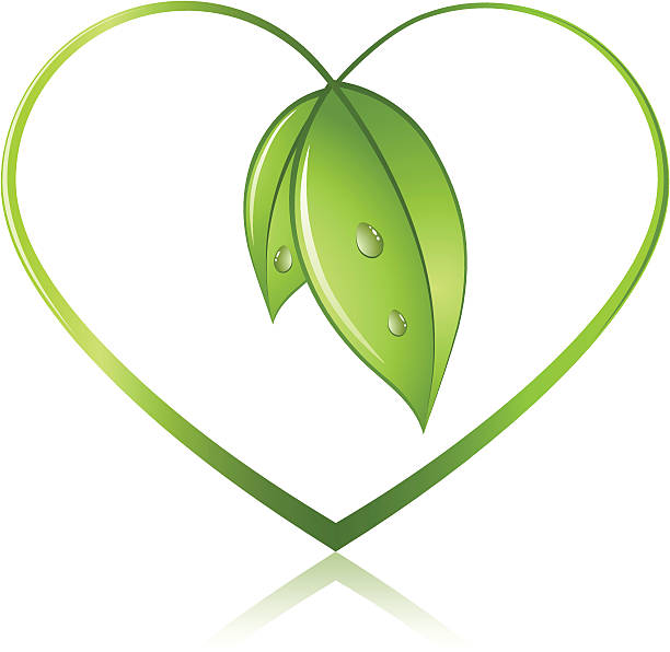 coeur de thé vert
