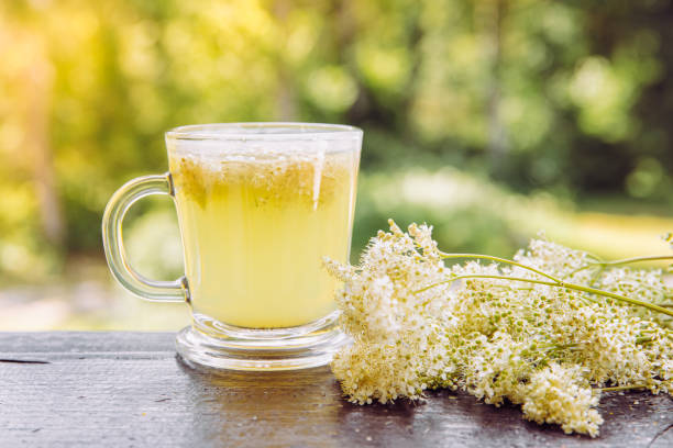 tisane T
